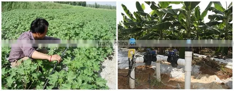FAQ 12--Application Of Drip Irrigation Technique