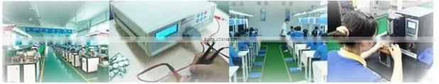 36V 10Ah LiFePO4 EV battery Pack