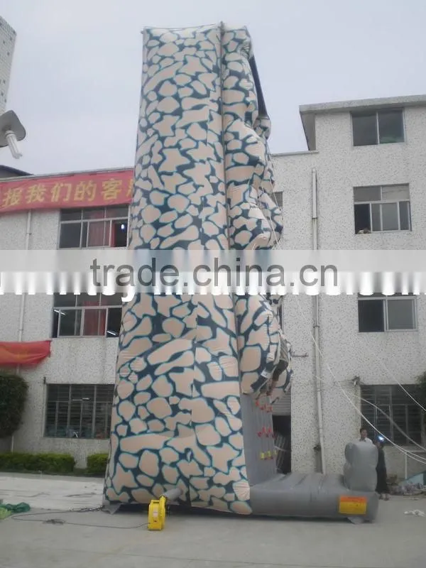 Kids rock inflatable climbing wall