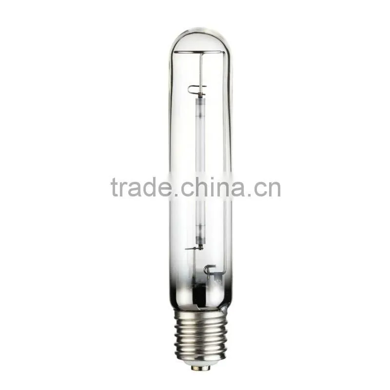 600w grow bulbs for hydro plant growth