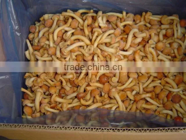 IQF nameko