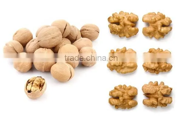 Chinese Supplier of dried walnut kernel for sale and with best quality walnut for hot sale