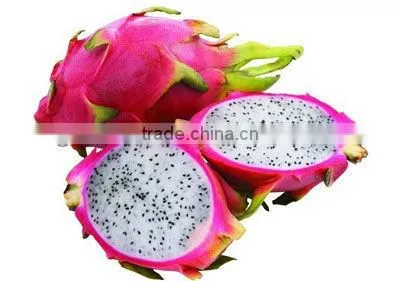 Dragon fruit powder