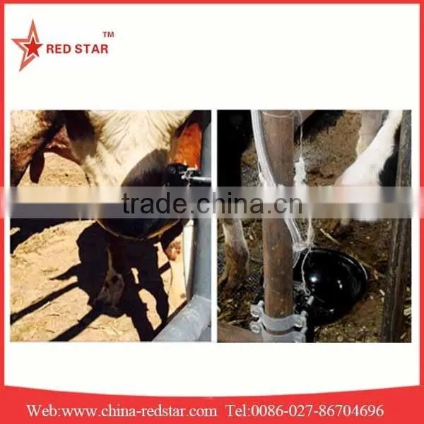 Cow Cast Iron Drinking Bowl For Farm