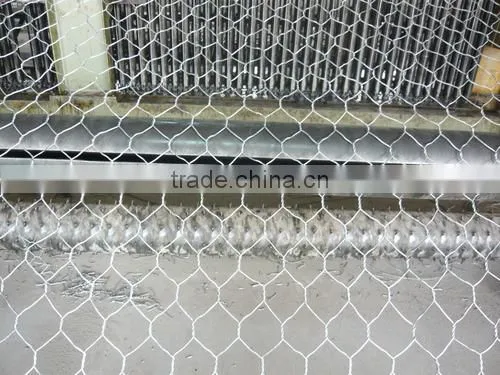 Hot sales twist hexagonal wire meshes