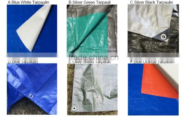 Waterproof PE Tarpaulin Ground Sheets To Protect the Grain