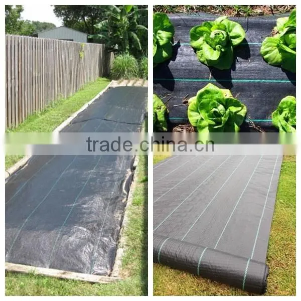 PP woven anti weed mat