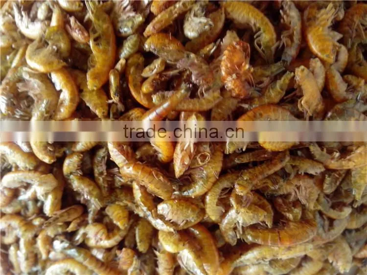 Fish food High Protein freeze 1 cm Dried Gammarus;gammarus for fish