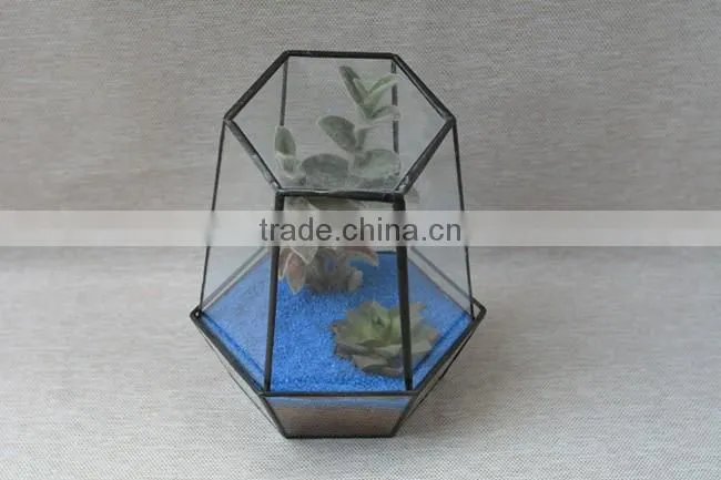 Micro Landscape Geometric Air Plant Succulent Glass Container Vase Pot Terrarium