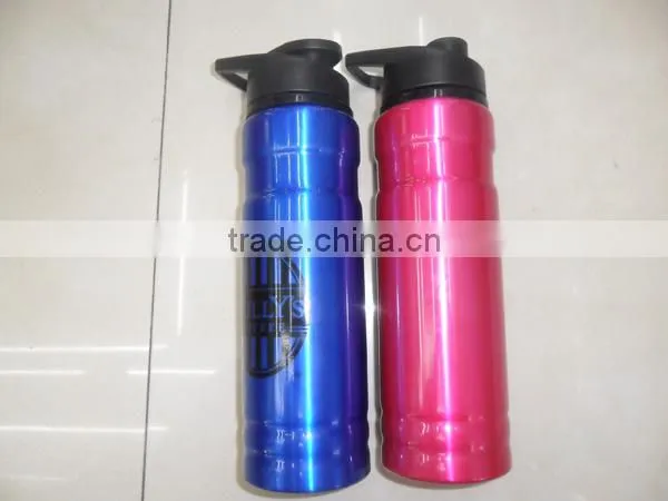 Custom Stainless Steel Bottle/Travel Sports Bottle