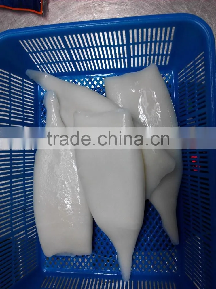 health food of squid tube