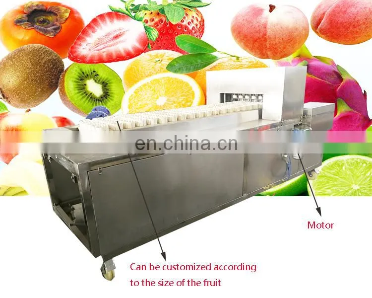 Electric Cherry Olive Palm Prune Date Peach Pitter Machine For Sale