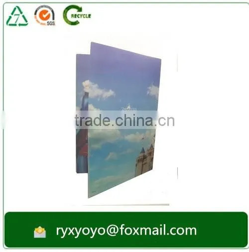 2016 high quality a4 pp hard plastic multi-pocket file folder