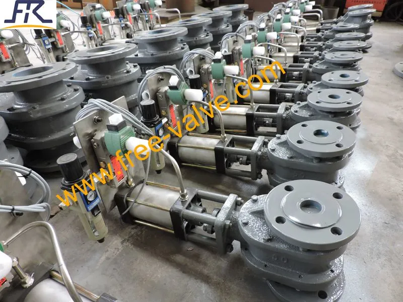 DSCN4425 Pneumatic Metal Seated Double Disc Gate Valve