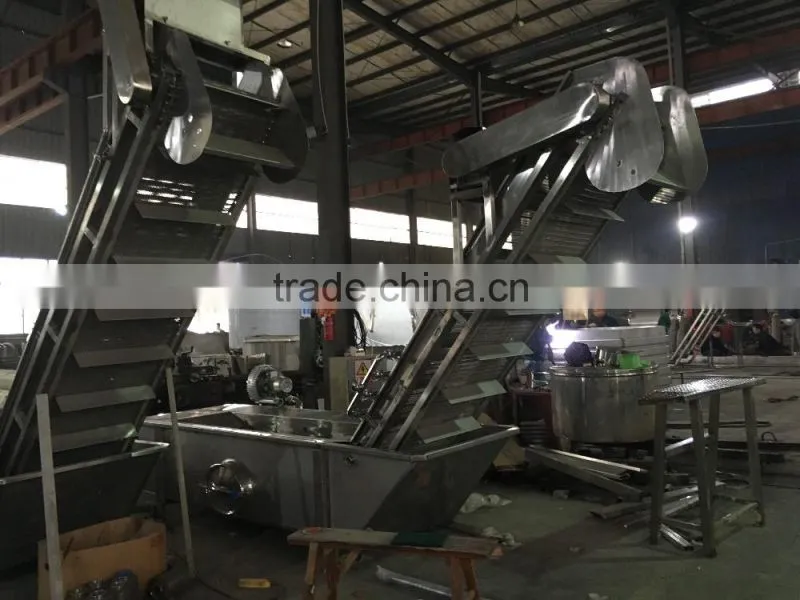 Stainless Steel Fruit Loading/Lifting Machine