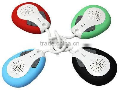bluetooth speaker with fm radio ( NT-BTS19)