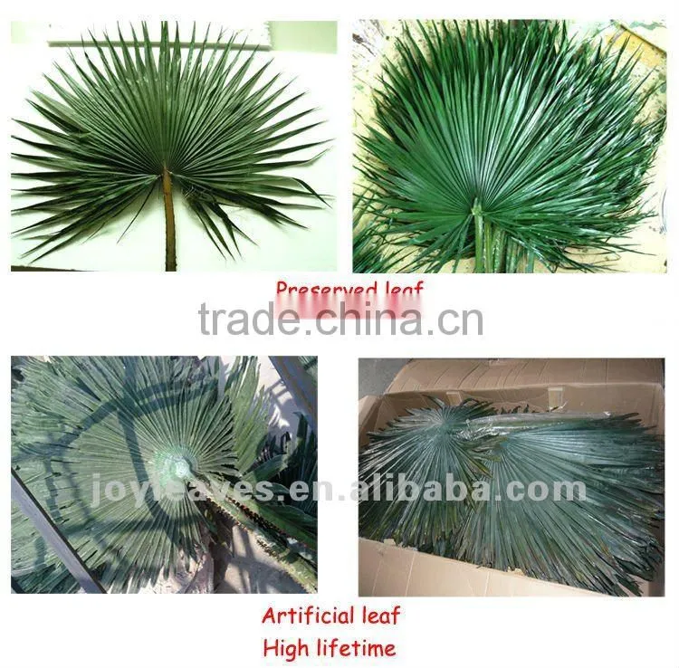 Joyleaves outdoor palm tree and UV-Protect palm leaf