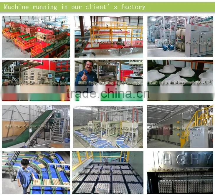 HGHY disposable biodegradable paper dish machine C3