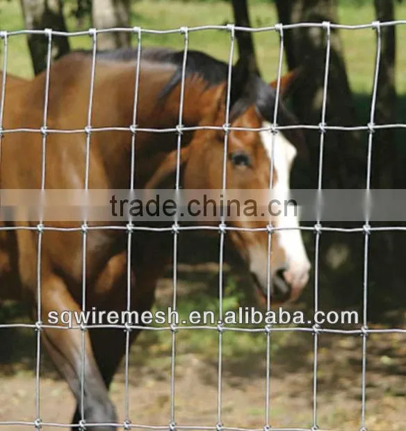 Anping Factory Field Fence