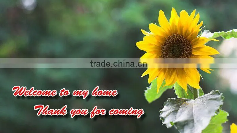OEM:55211-65D11 parts of China brake disc
