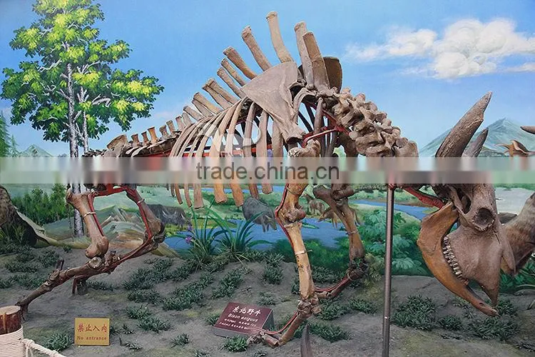 Theme park Bison fossil