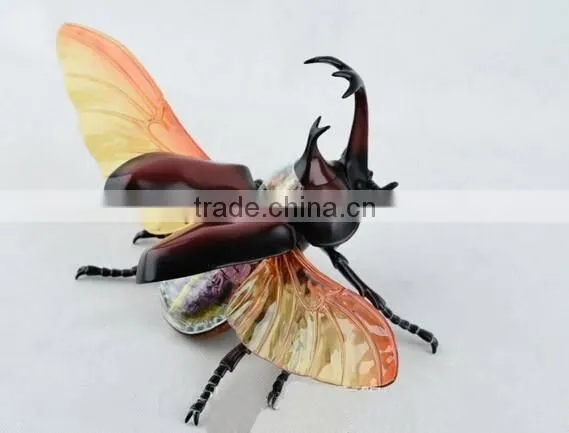 V-AM044 4D MASTER Bifurcated Beetle specimens anatomical model