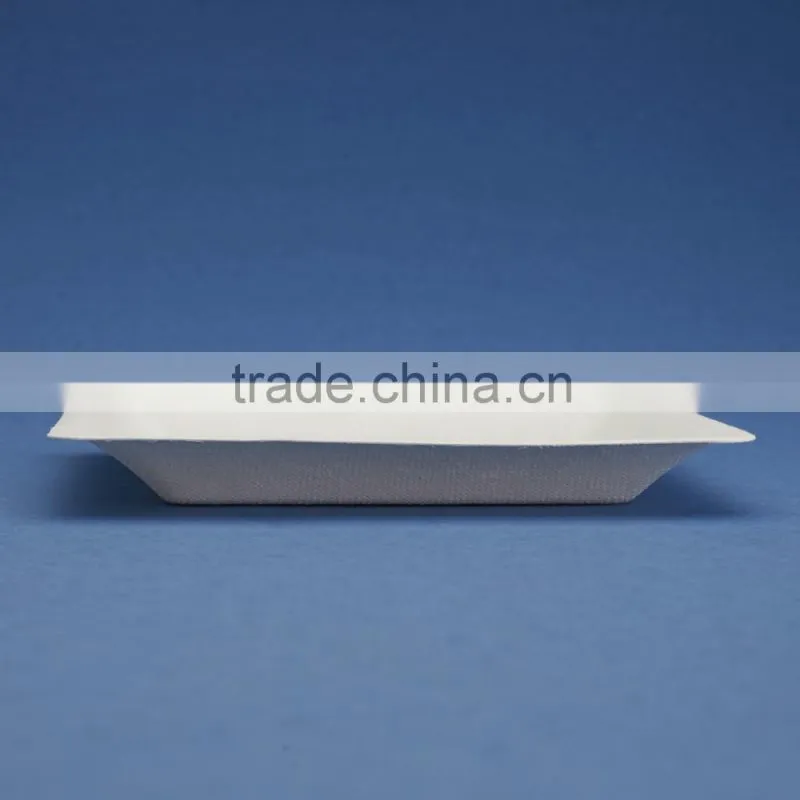 PL-06-S 6.75 inches disposable flate square shape sugarcane dinner plates