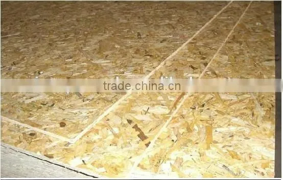 Cheap Price 1220*2440MM 12MM Oriented Strand Board/OSB board
