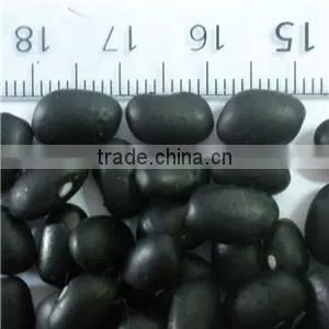 2011 new crop black kidney beans market price