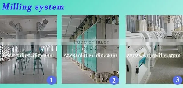 Newest type and universal wheat flour miling machine gain processing equipment