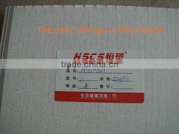 False ceiling system