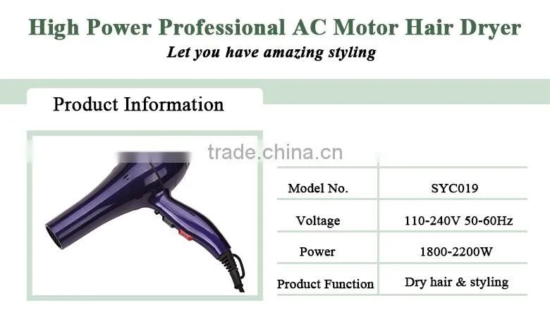 New pro AC motor Hair Dryer & accessories with cool shot button ionic function lady salon tools