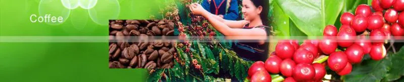 Qualified Arabica and Robusta Coffee Beans