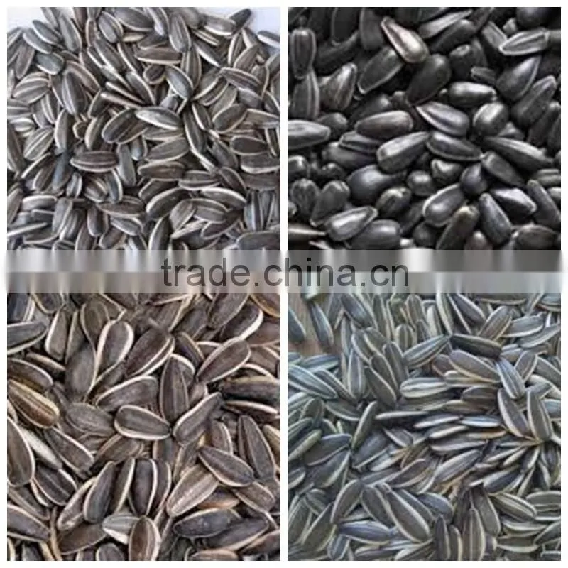 new arrival Organic sunflower seeds with best price