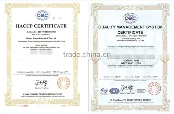 Dehydrated Garlic Extract Powder