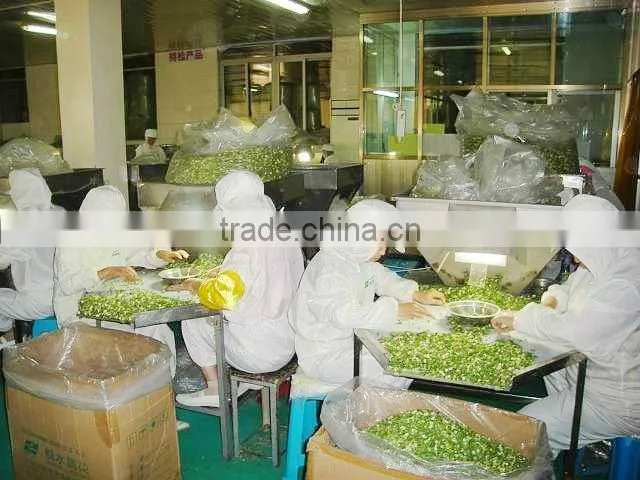 Onion products onion powder dehydrated onion
