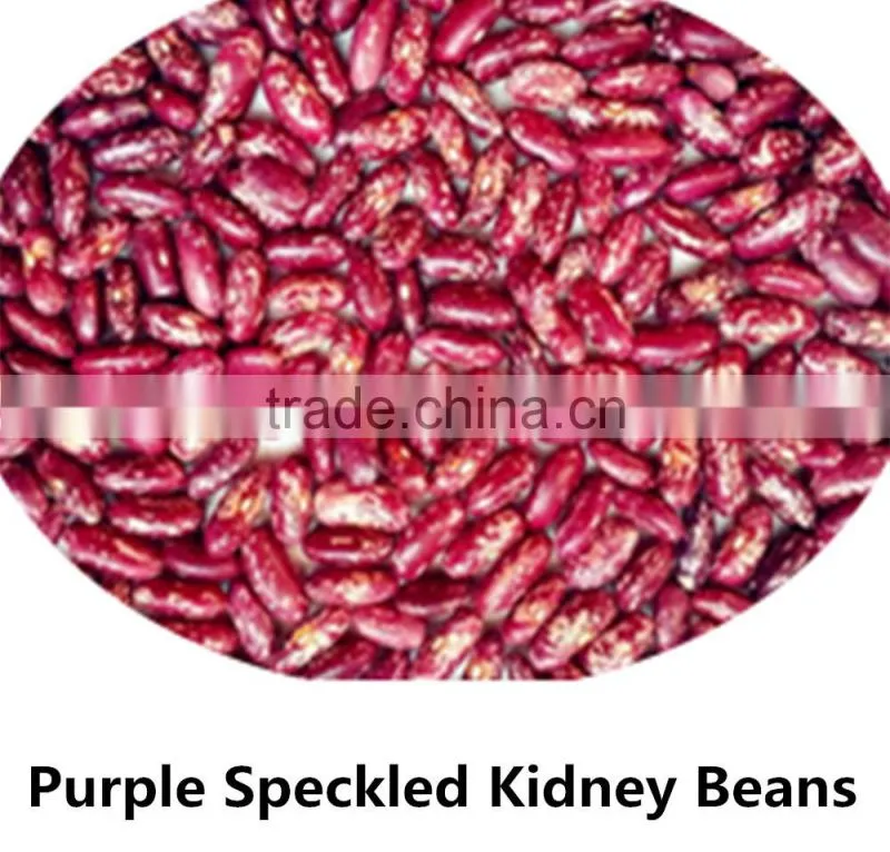 JSX cooking British red kidney bean round shape food grade red kidney bean