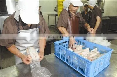 halal meat processing machine for chicken