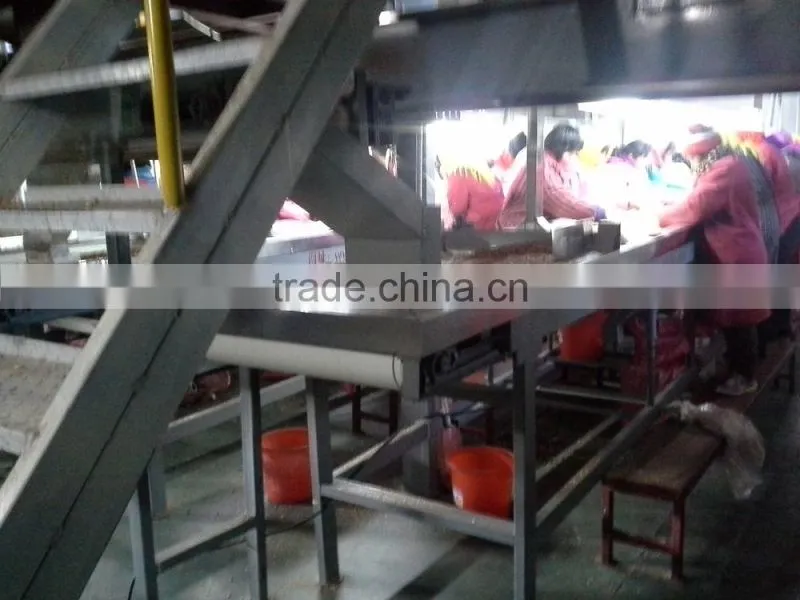 Z shape vonveyor for grain transport