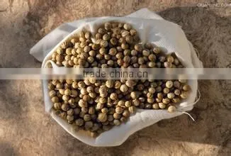 Coriander seeds Multiple layer continuous type mesh belt dryer