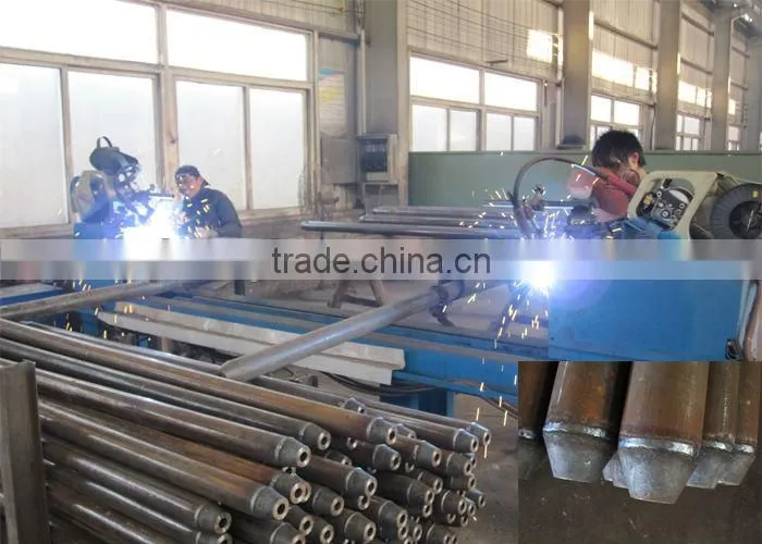Steel Space Frame Tropical Garden