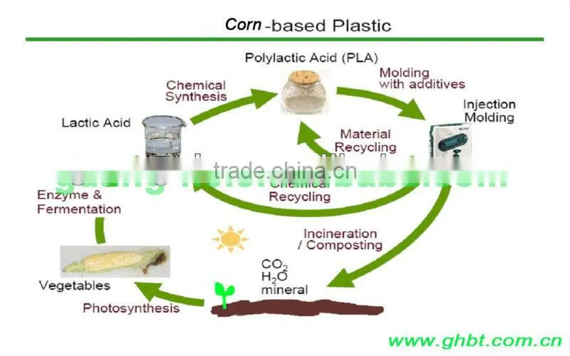 Environment-friendly biodegradable PLASTIC PLA(polylactic acid) toothbrush/ hotel toothbrush