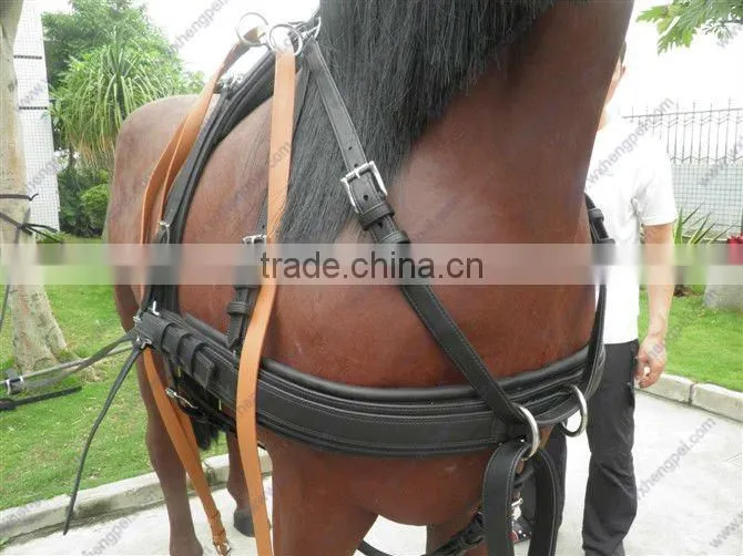 Europe Leather Halter / Padded Horse Halter