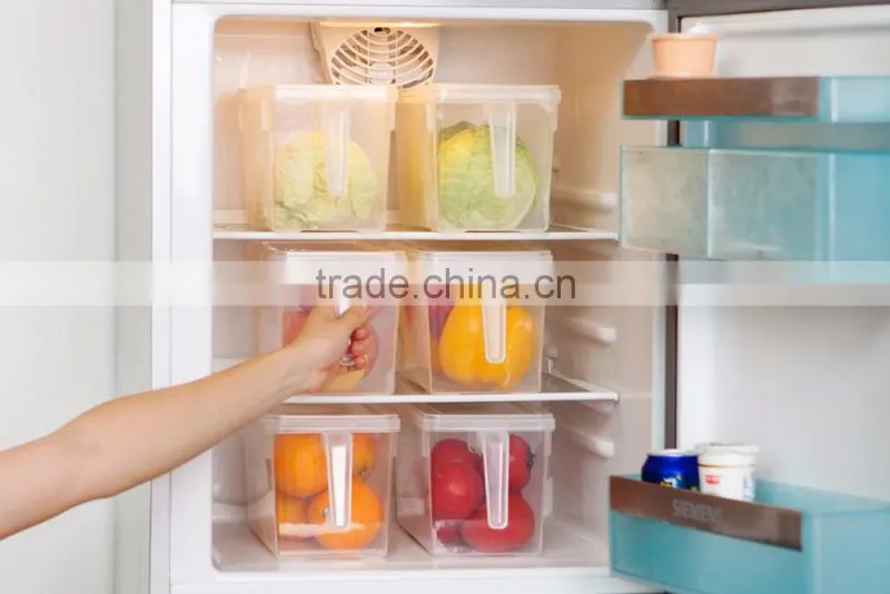 Seal storage box with handle for refrigerator