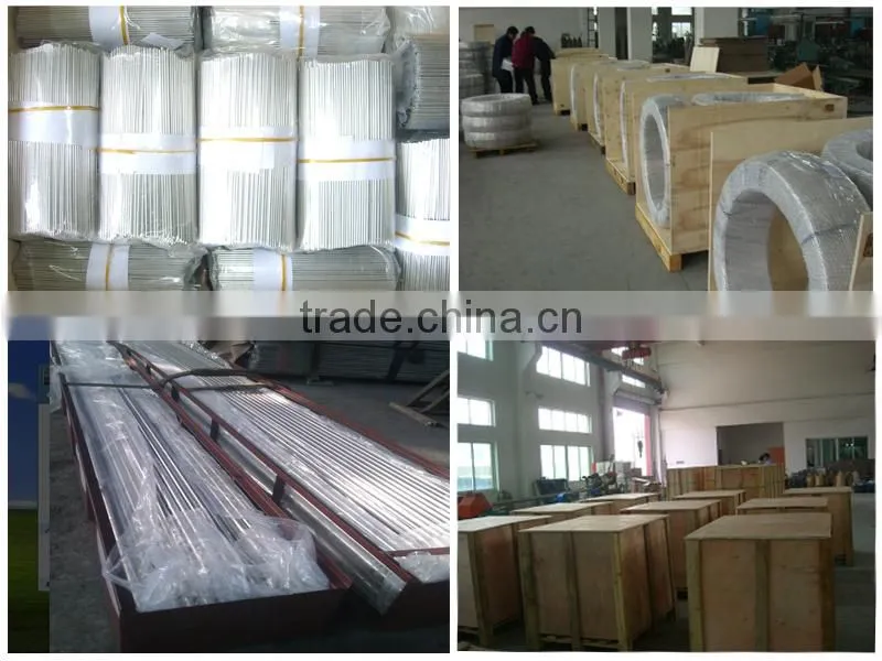 TP316/TP304 Steel Seamless Polished Bright Pen Capillary Tube / Pipe