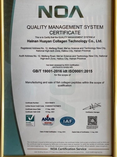 ISO9001