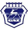 GAZ car led laser logo door lights