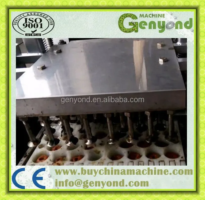 Olives Nuclear and Seed Remove Machine / Olives Pitting and Pitter Machine / Olives Stone Extractor