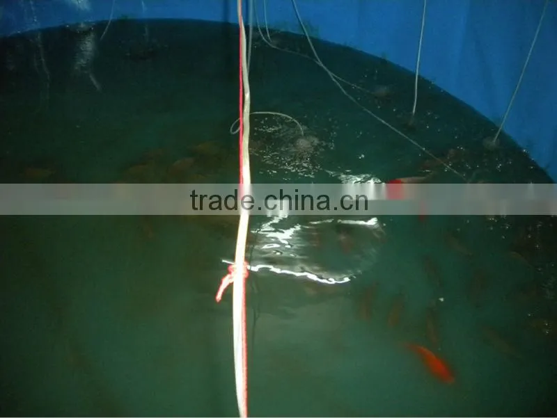 Tarpaulin Waterproof Flexible fish ponds , folding fish tanks
