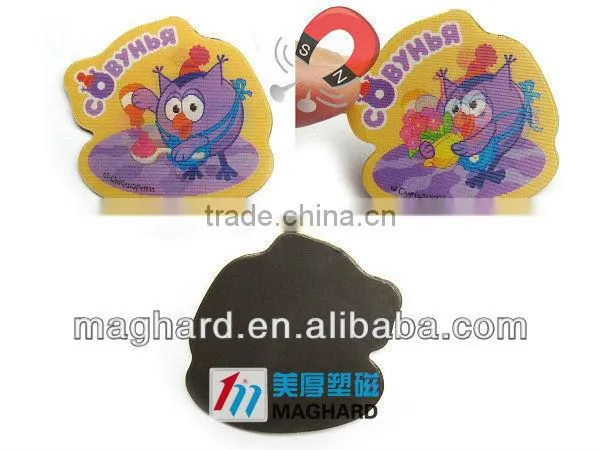 3D lenticular fridge magnet